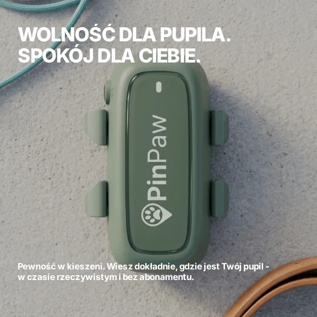 Wolność dla pupila, spokój dla Ciebie.